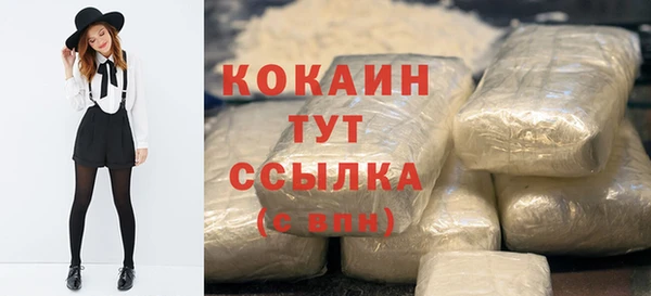 spice Новодвинск