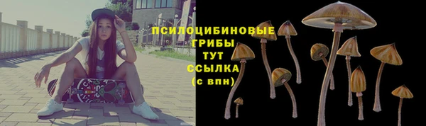тгк Покачи