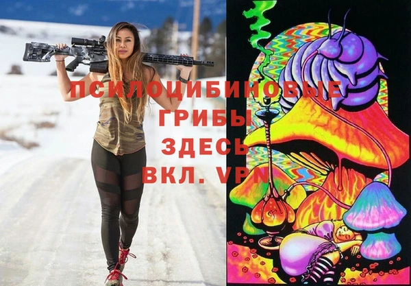 прущий лед Няндома
