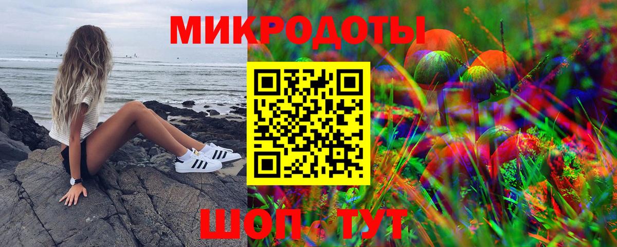 Галлюциногенные грибы Psilocybe Первоуральск