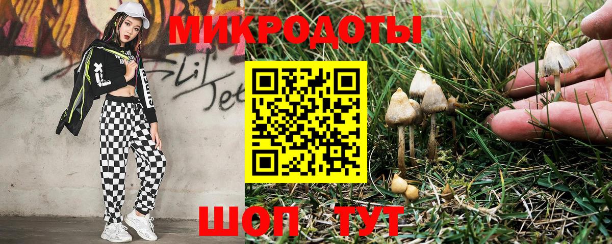 Первоуральск  Псилоцибиновые грибы мицелий  Вход с VPN 